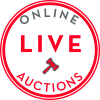 Domain Live Auction